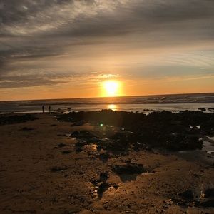 Meet your Posher, Cheyenne